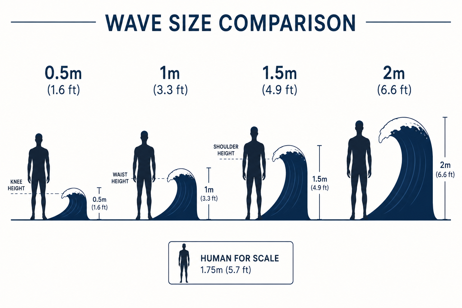 Swell height comparison showing knee-high to overhead waves with human silhouette