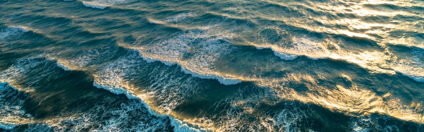 Surfer in the ocean